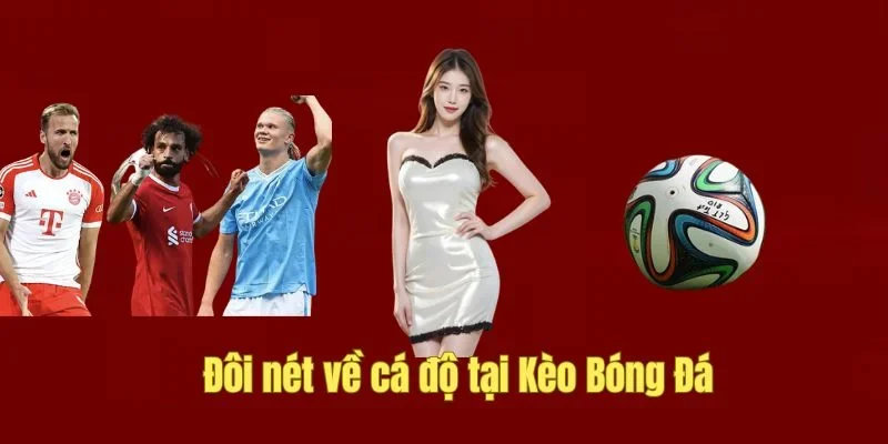 Giới thiệu cá độ tại Kèo Bóng Đá
