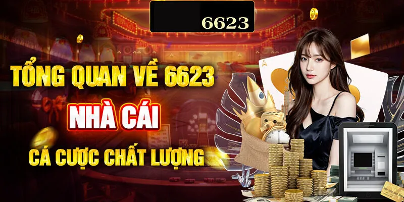 Giới thiệu về nền tảng 6623