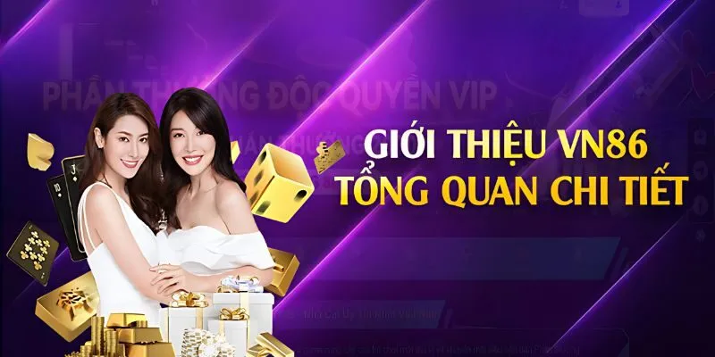 Giới thiệu sơ lược về thương hiệu VN86 top1