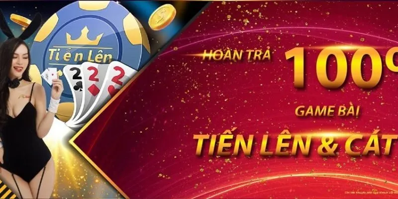 Sơ lược về nhà cái đẳng cấp VNQ8