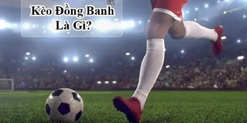 Kinh nghiệm giúp bạn đặt đặt cược đồng banh hiệu quả