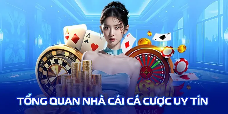 Sơ lược thông tin giới nhà cái IBET top1