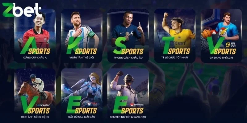 Đánh giá hệ thống ZBET dành cho thành viên mới