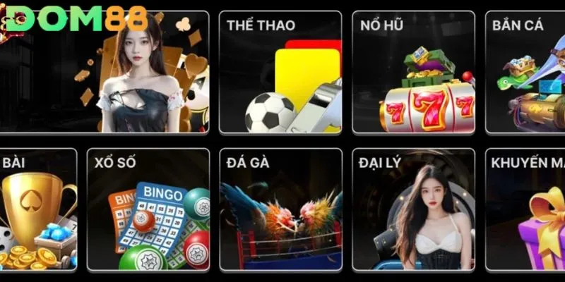 Tại sao Dom88 là sân chơi thú vị cho tân thủ