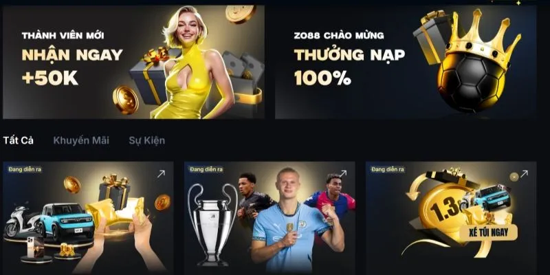 Tại sao ZO88 lại được nhiều người yêu thích?